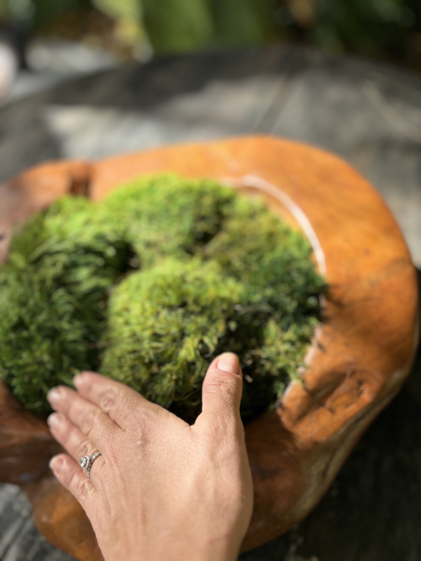 Ayaku Moss Planter