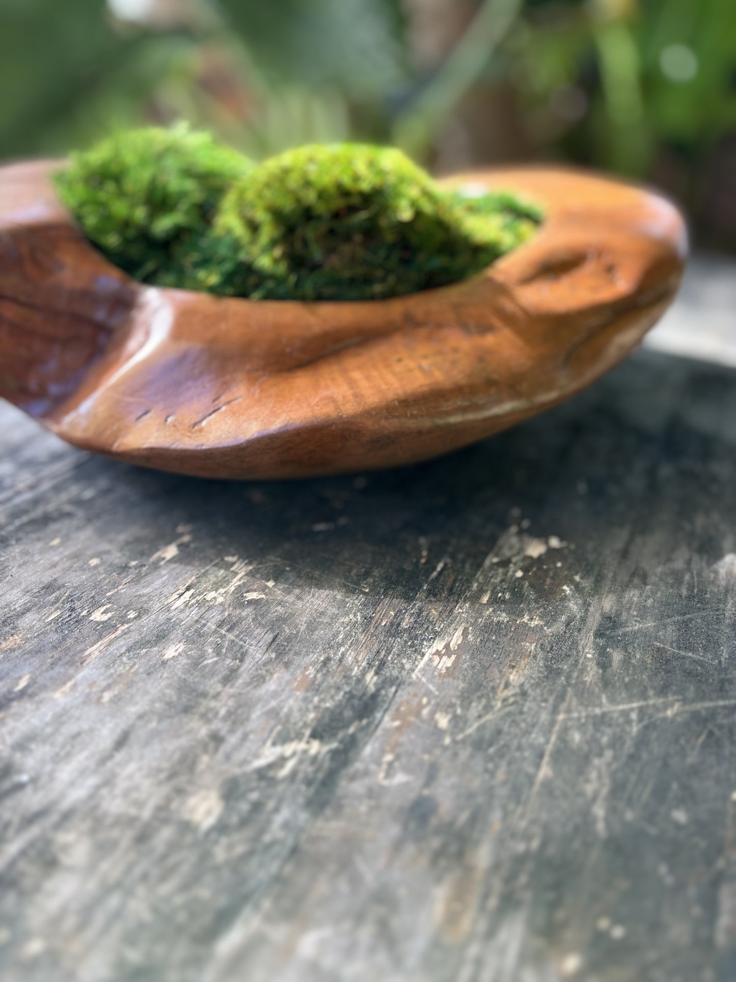 Ayaku Moss Planter