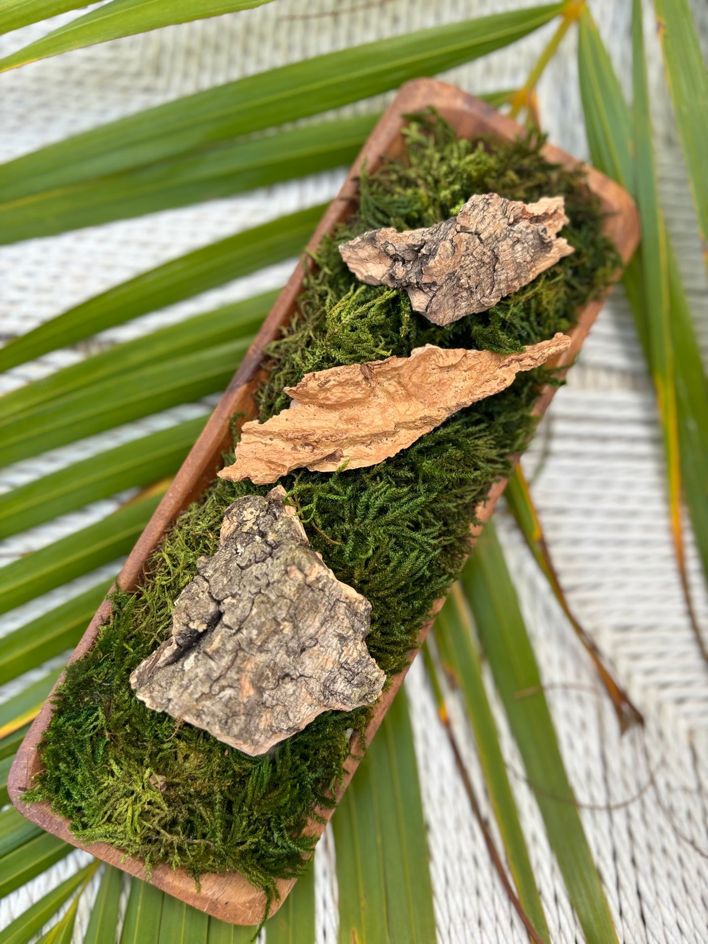 Moss and Driftwood Wood Planter (Rectangular)