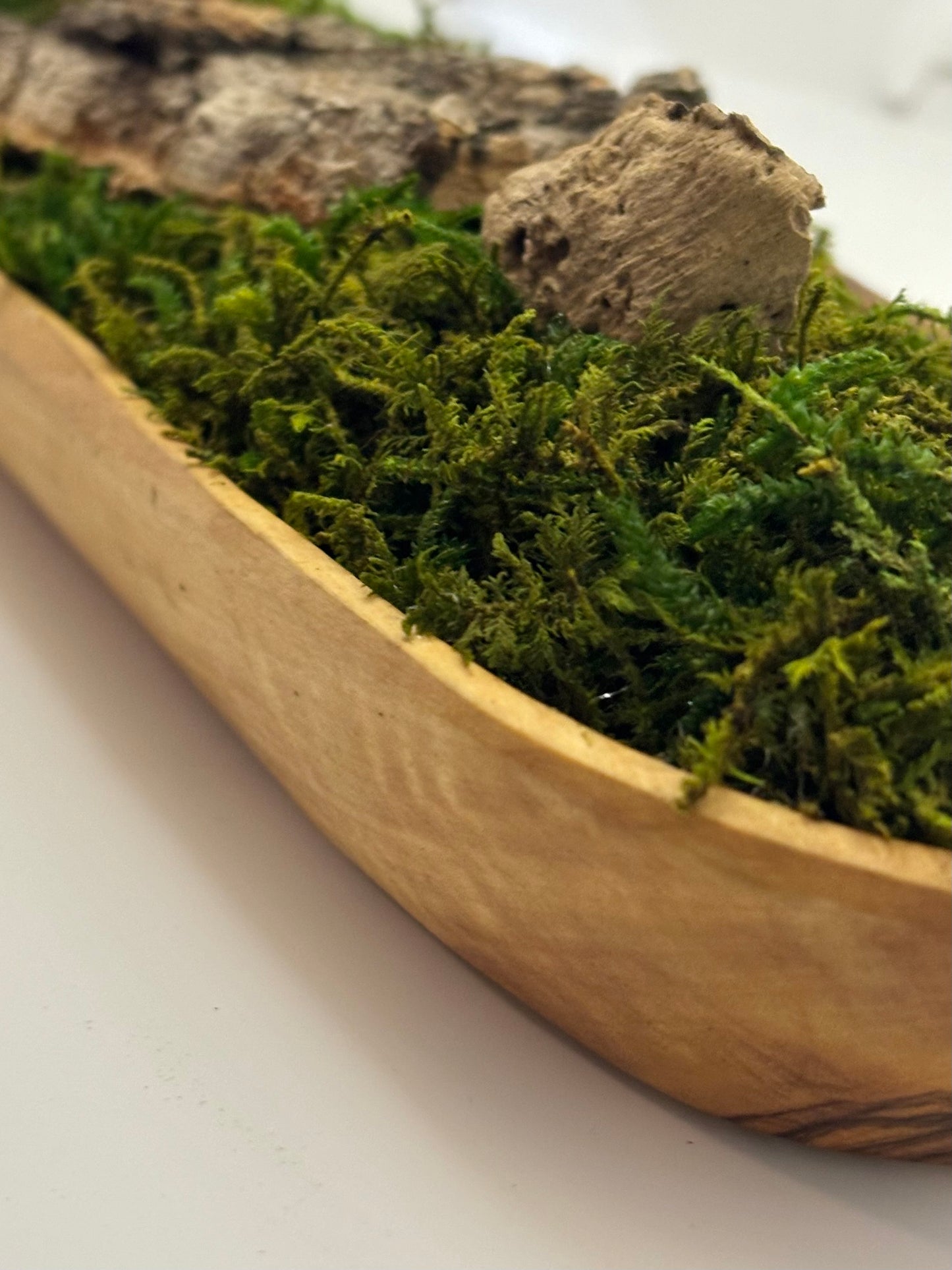 Wood Moss Planter (Oval)