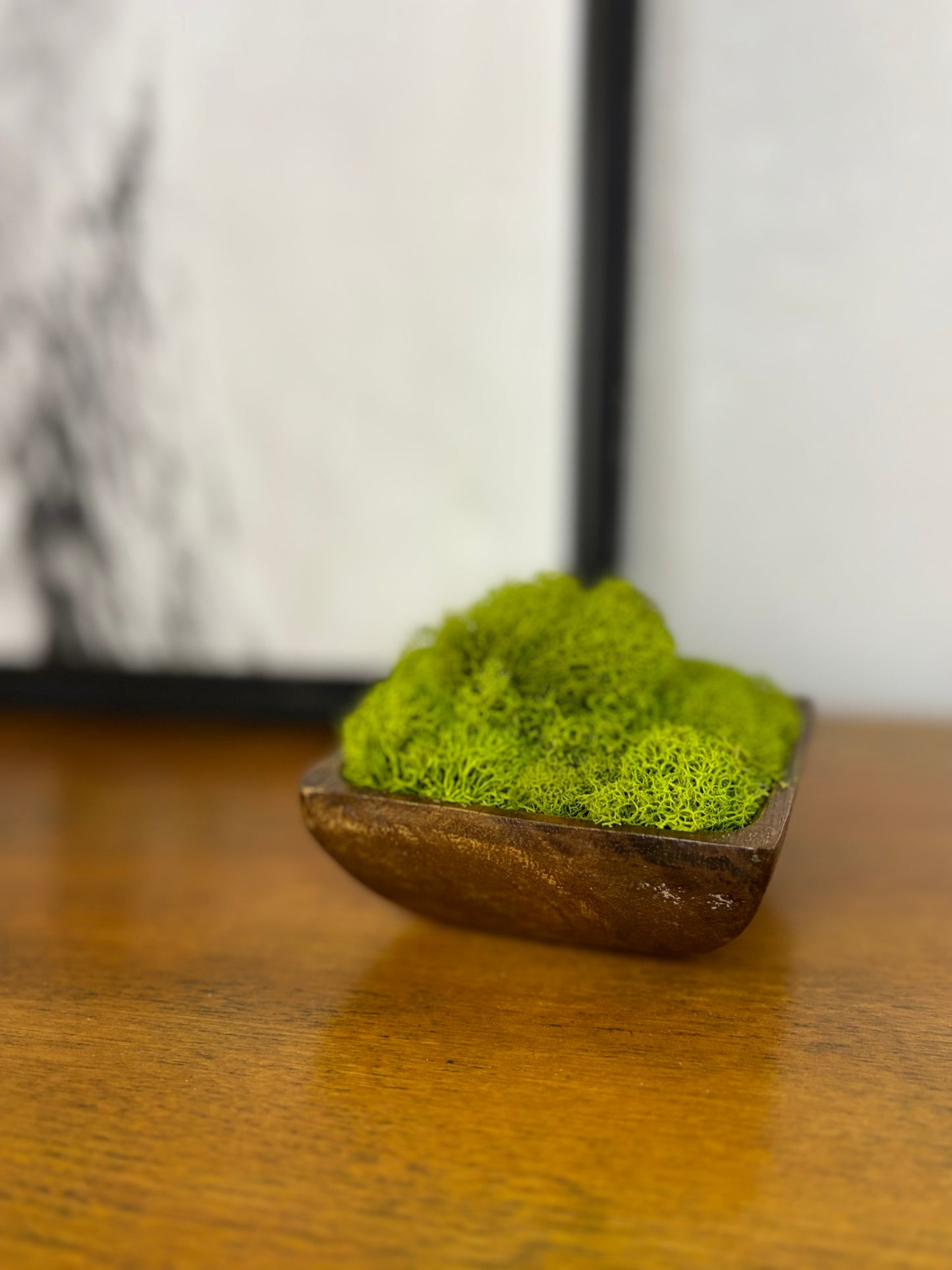 Mini Moss Planter (square Green)