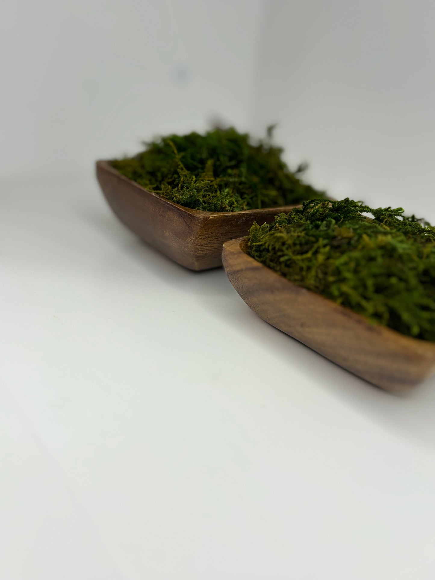 Mini Moss Planter (square Basil)